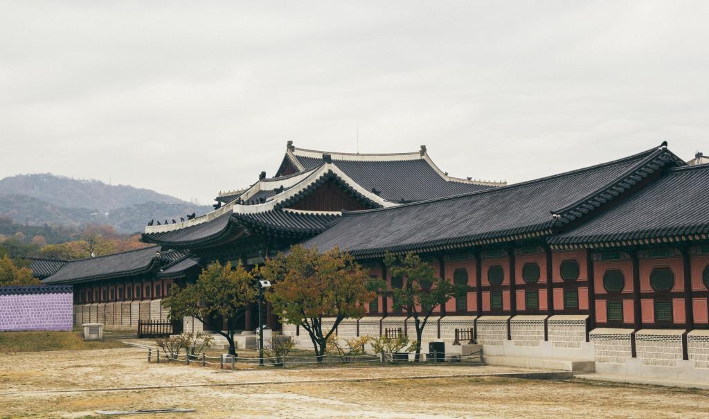 基本学制3年